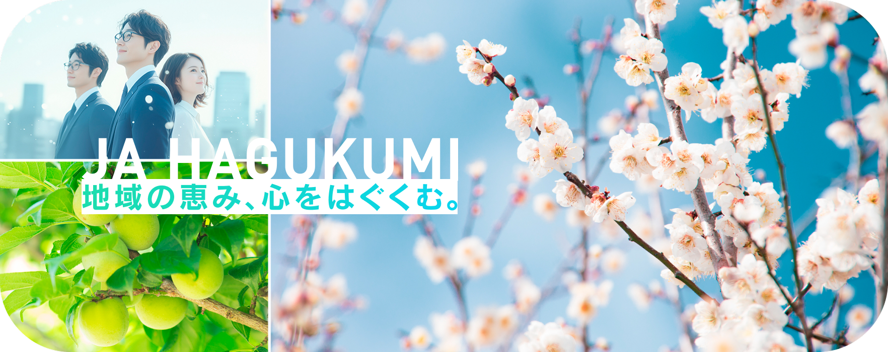 JA HAGUKUMI　地域の恵み、心をはくぐむ。