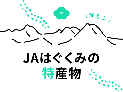 JAはぐくみの特産物