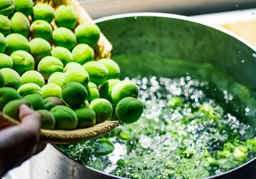 「その他事業」コンテンツイメージ