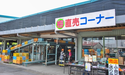「はるな梅選果場」外観写真