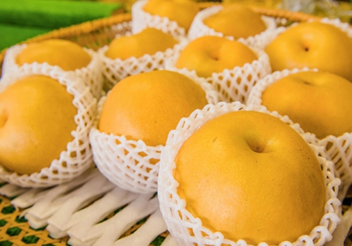 「特産物のご紹介」ページ　特産物写真（梨）